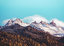 开云平台-开云体育登录：开启你的全场景体育之旅