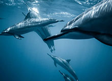 开云平台-开云体育登录:开启你的全场景体育之旅